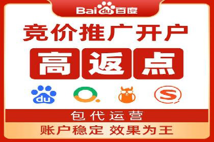 案例解读：SEO与SEM优化助力电商崛起